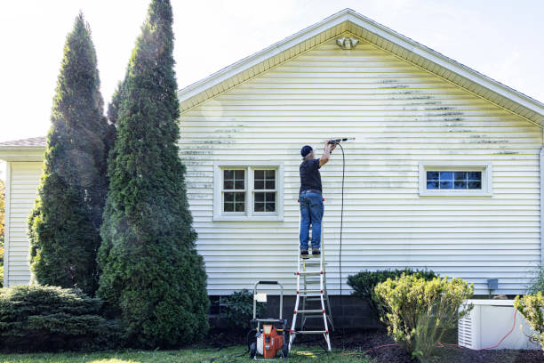 Reliable Mathews, VA Pressure Washing Services Solutions